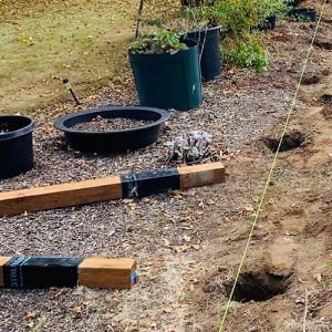 decb9b_81c20bbcd3a14f1abc1ceb5ce2026d7e~mv2