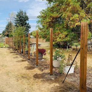 decb9b_a121aa1f7a254b3e8e6b545cb79cb900~mv2