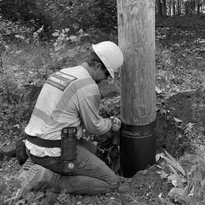 Rotbloc_utl_decb9b_08d1c78212b448758fb46ee5d5f93f7f~mv2